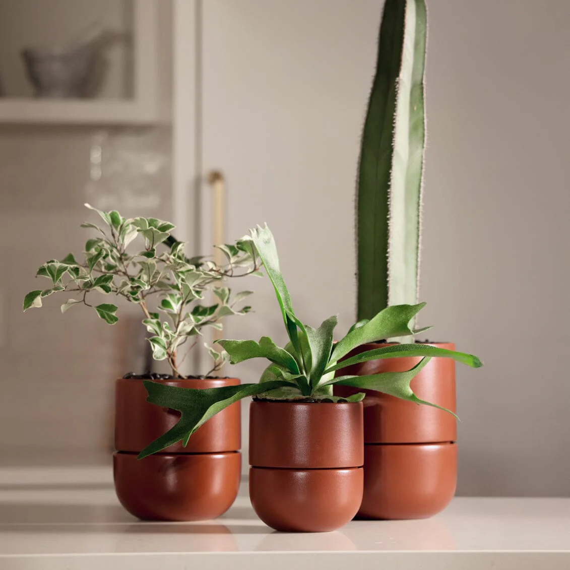 Small Planter - Image 10